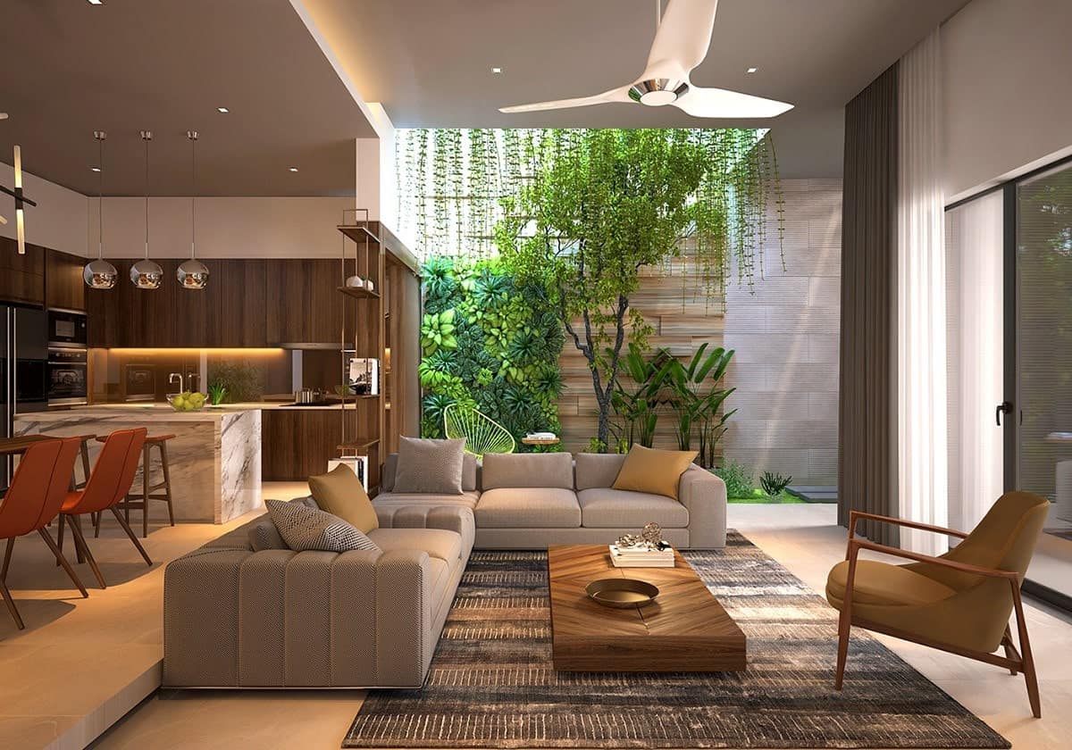 chăm sóc tiểu cảnh giếng trời