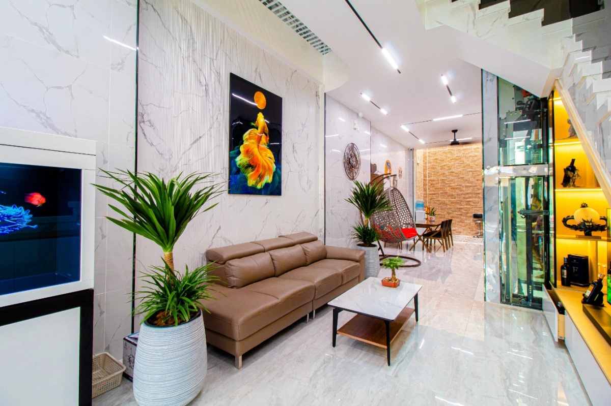 ý tưởng trang trí giếng trời